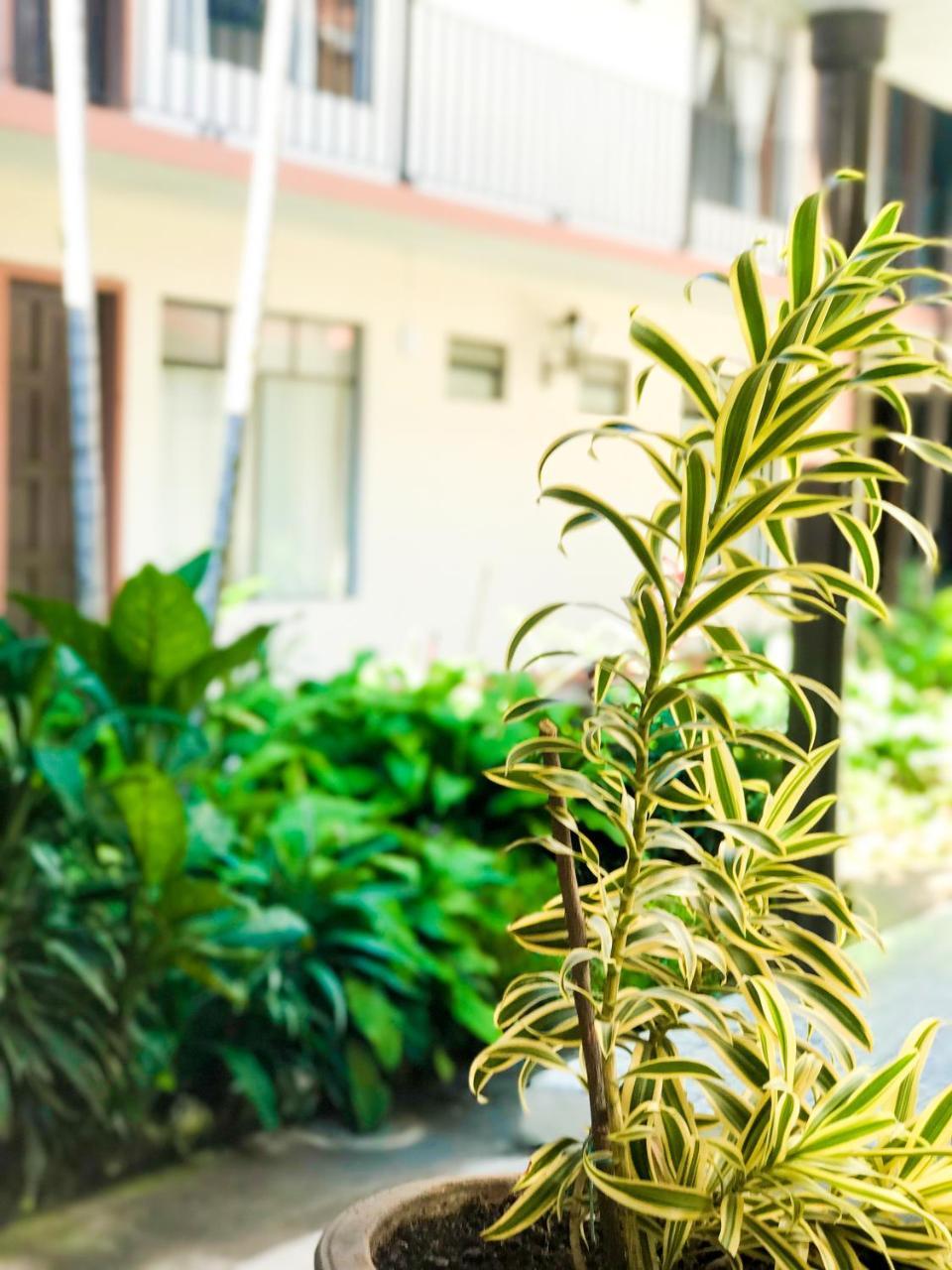 Hotel Villa De Flores Uruapan  Экстерьер фото